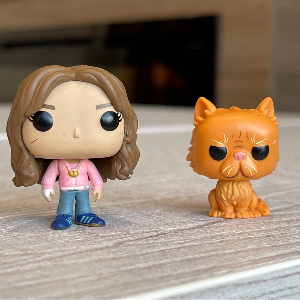 Harry Potter Friends Funko *Pocket* Pops